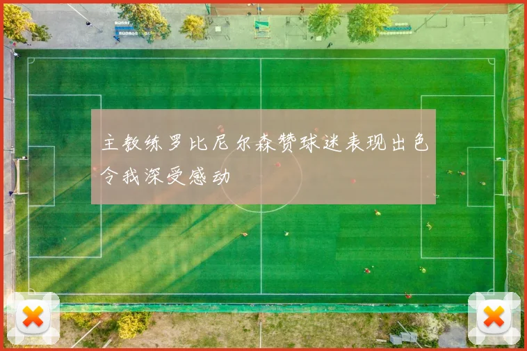 主教练罗比尼尔森赞球迷表现出色令我深受感动